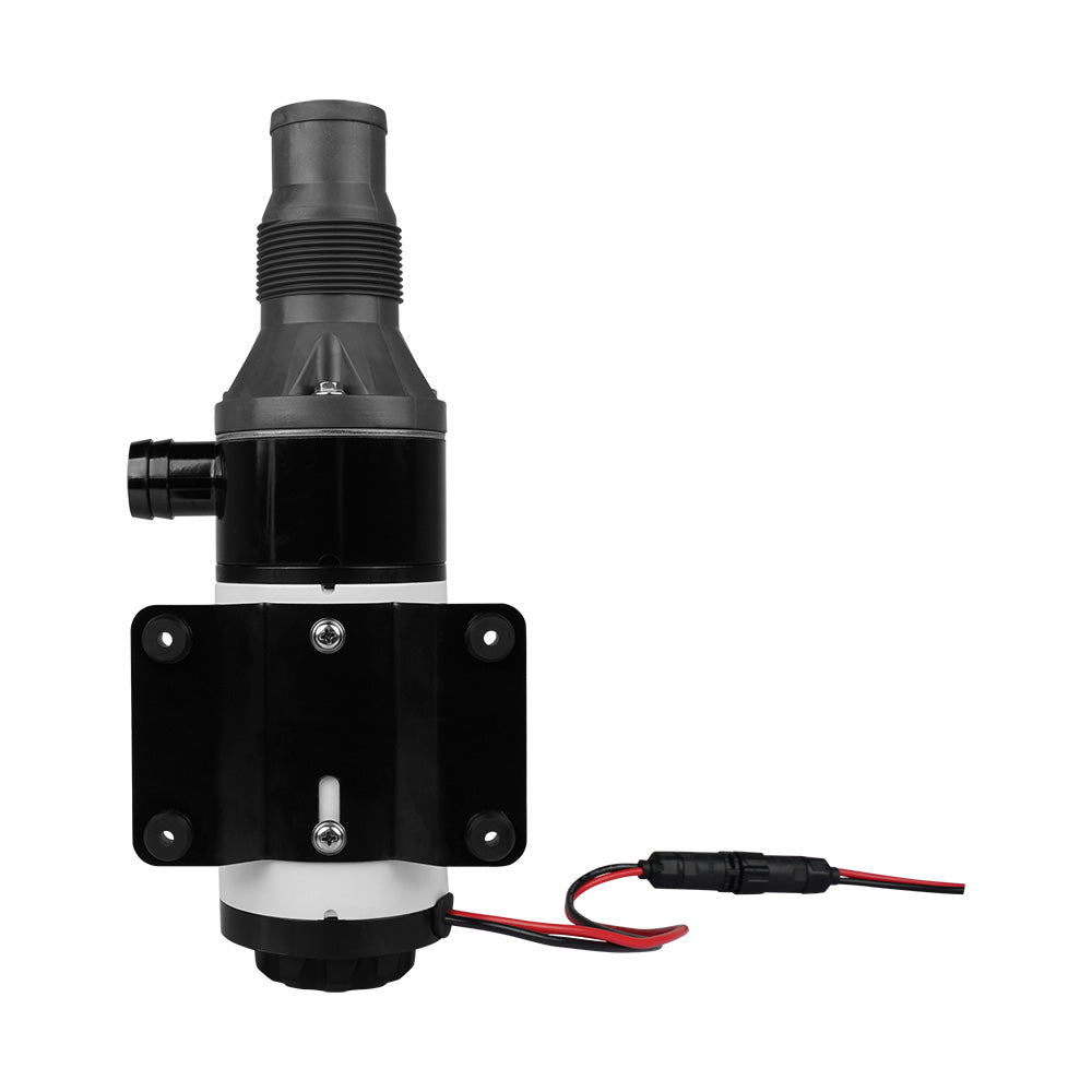 Bomba maceradora Commodore de 12 GPM - 12V