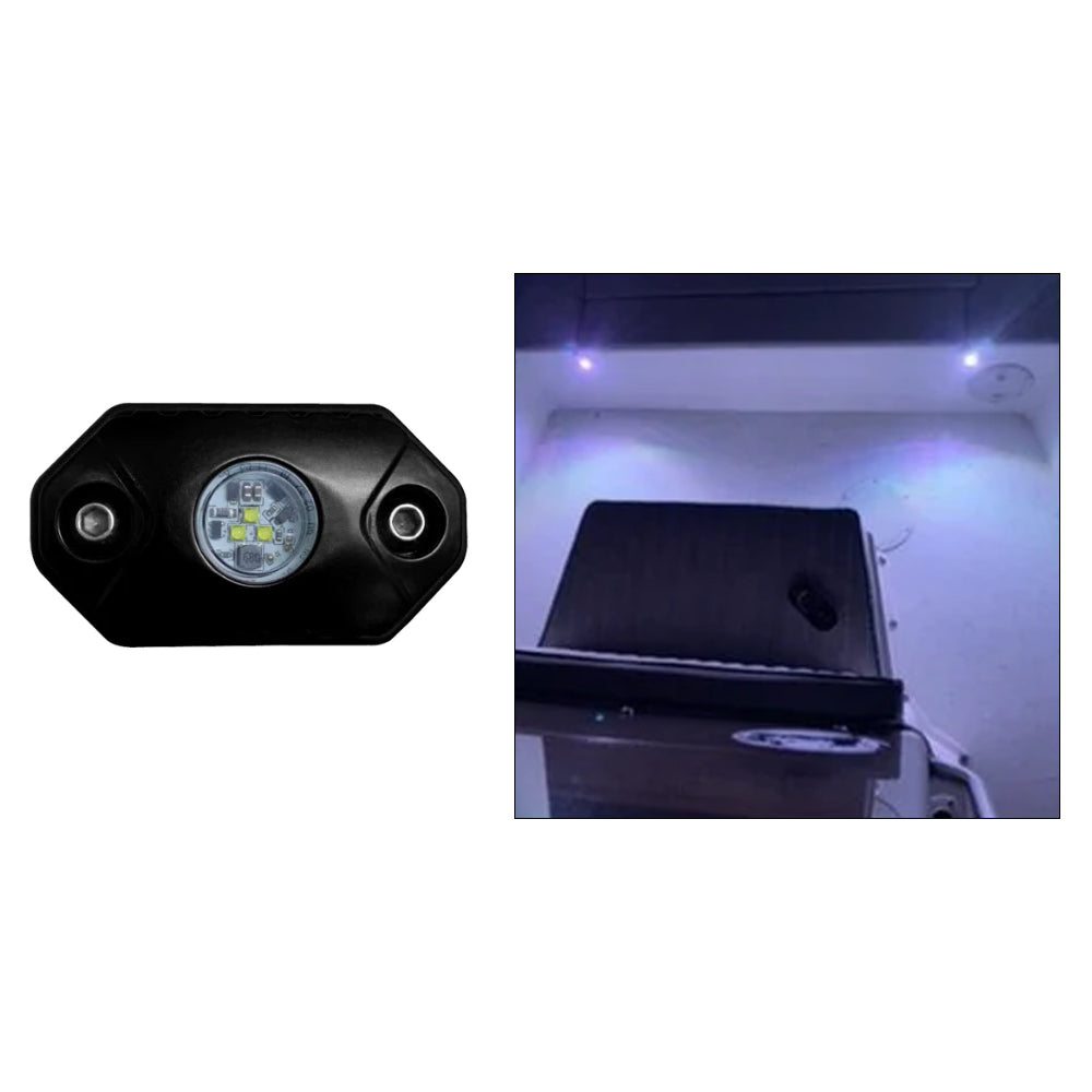 Luz de acento para roca Black Oak - Blanca - Carcasa negra