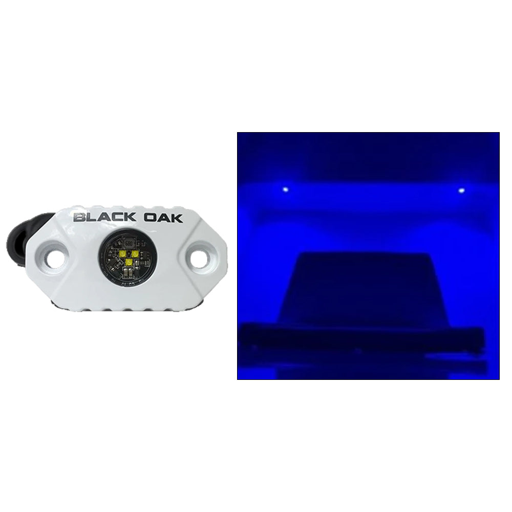 Luz de acento para roca Black Oak - LED azules - Carcasa blanca