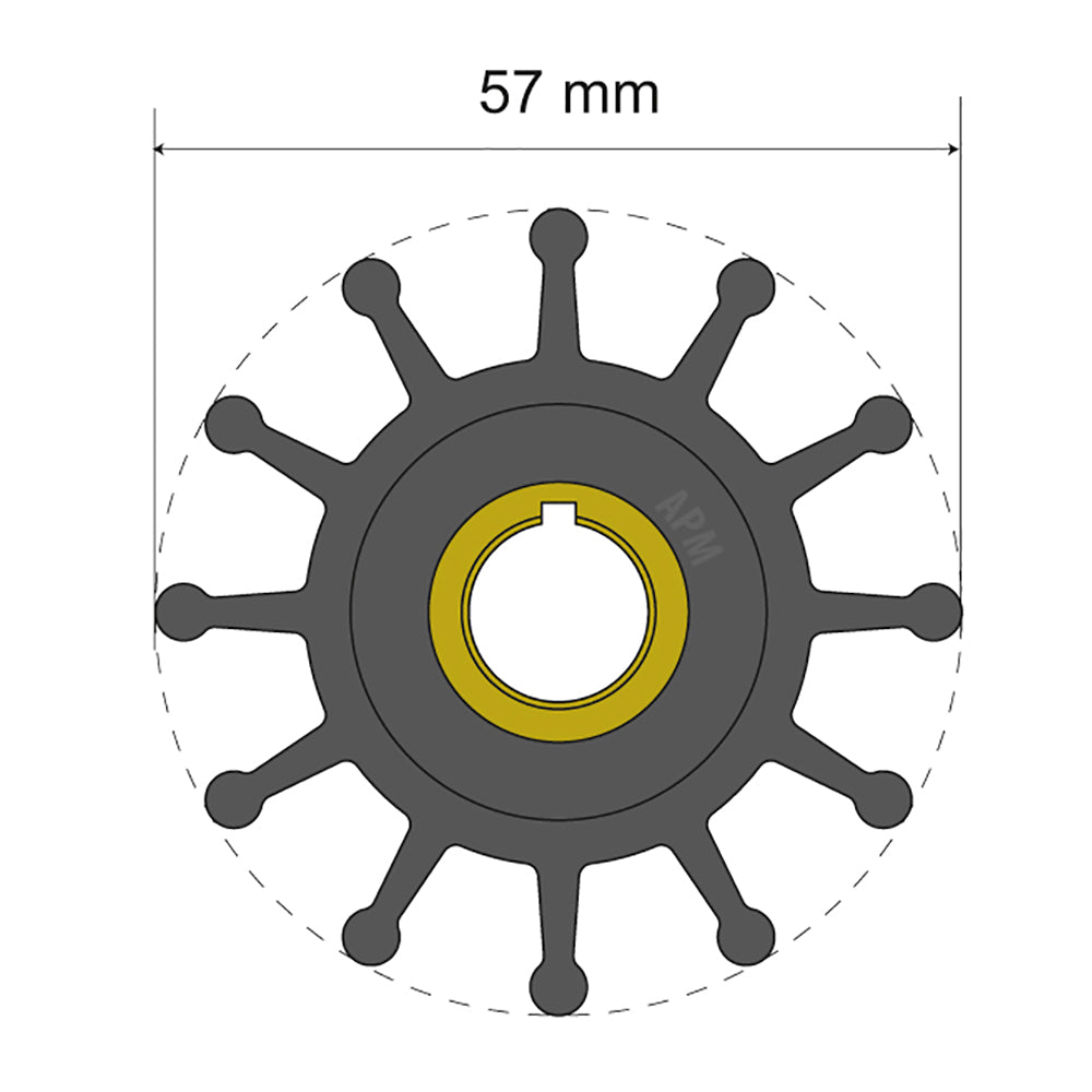 Kit de impulsor premium Albin Group 57 x 12,7 x 20 mm - 12 paletas - inserto de chaveta
