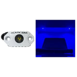 Luz de acento para roca Black Oak - LED azules - Carcasa blanca
