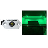 Luz de acento para roca Black Oak - LED verdes - Carcasa blanca