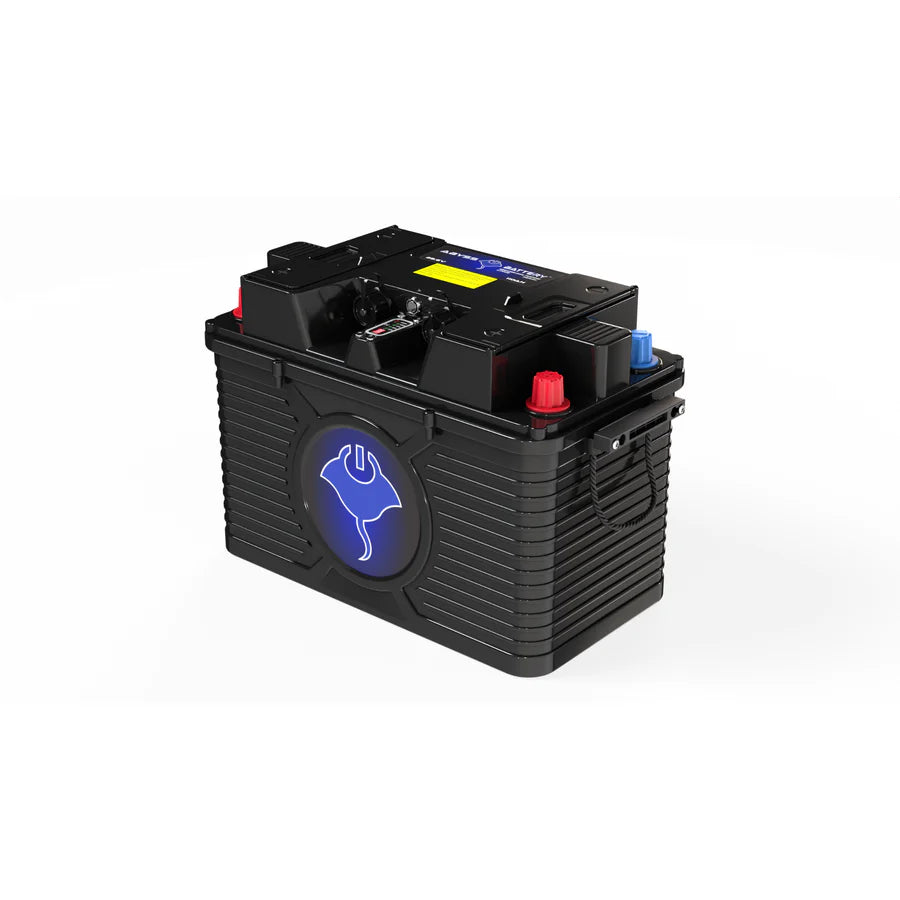 Batería de litio LiFePO4 de doble propósito Abyss Battery 24V 110Ah
