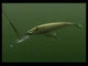 Rapala X-Rap® Magnum® 20 Hot Head