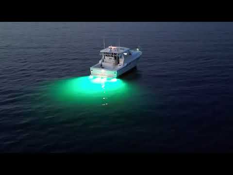 Metro Marine High-Output Elongated Vertical Mount Light w/Intelligent Monochromatic LED's - Aqua, 90° Beam