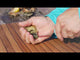 Toadfish Put 'Em Back Oyster Knife - Teal