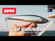 Rapala X-Rap® Magnum Stick 17 - Anchovy