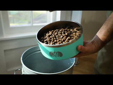 Toadfish Non-Tipping Dog Bowl - White