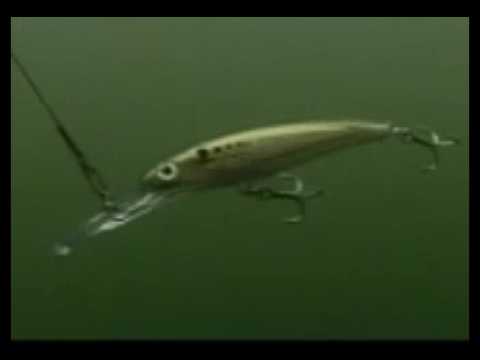 Rapala X-Rap® Magnum® 20 Redhead