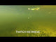 Rapala X-Rap® Twitchin’ Minnow 4" Purple Chartreuse