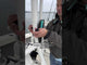 Tijeras multiusos Toadfish + Funda