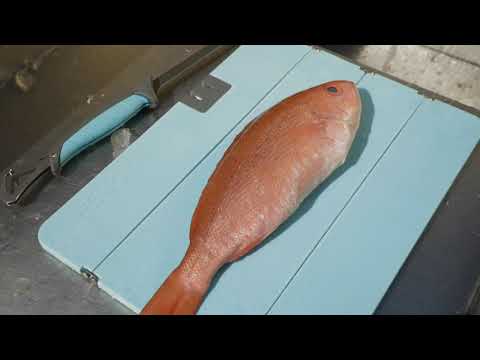 Toadfish Custom Engraved Stowaway Folding Cutting Board w/Built-In Knife Sharpener - Teal (MINIMUM ORDER QUANTITY OF 25)